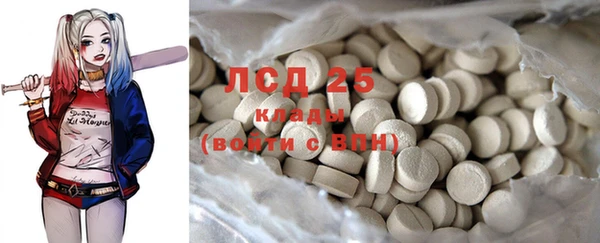 крисы Бугульма