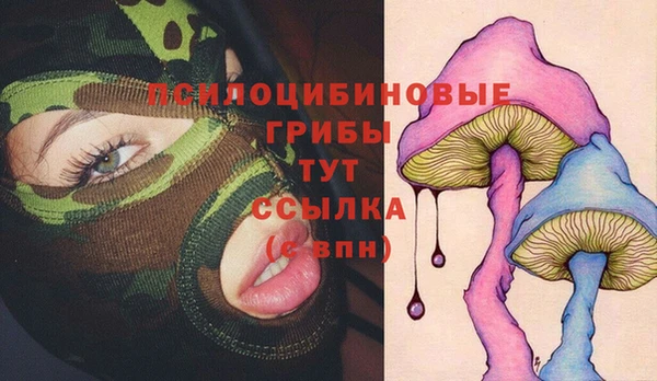 крисы Бугульма
