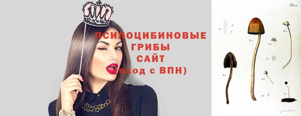 герыч Бородино