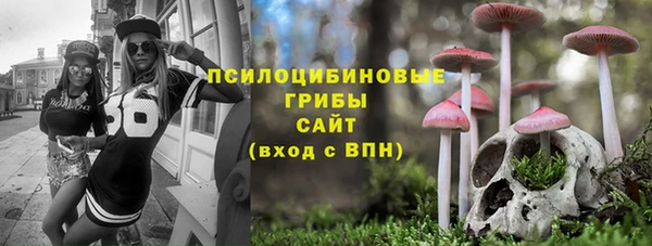 герыч Бородино
