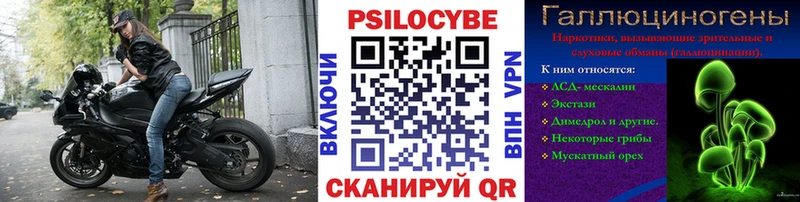 Галлюциногенные грибы Psilocybe блэк спрут ТОР Подольск где купить наркотик